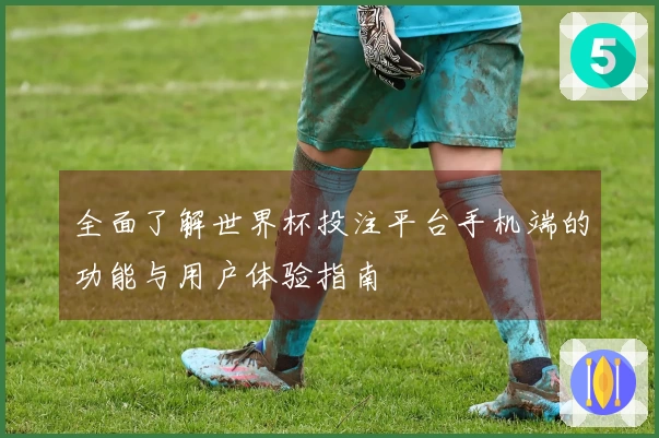 全面了解世界杯投注平台手机端的功能与用户体验指南