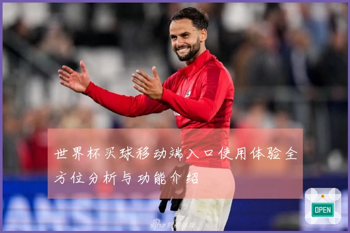 世界杯买球移动端入口使用体验全方位分析与功能介绍