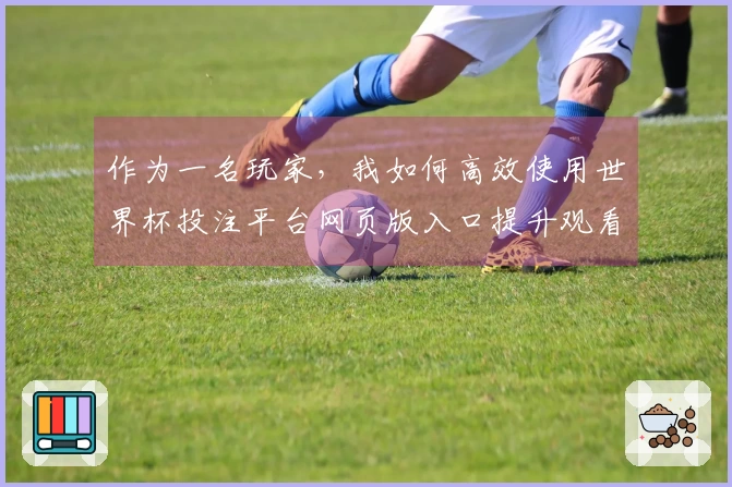 作为一名玩家，我如何高效使用世界杯投注平台网页版入口提升观看体验？