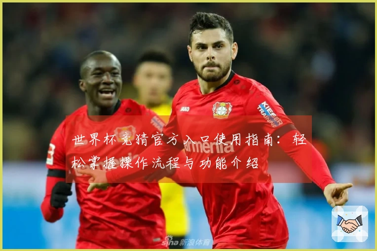 世界杯竞猜官方入口使用指南：轻松掌握操作流程与功能介绍