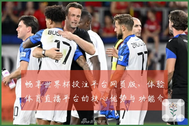畅享世界杯投注平台网页版，体验体育直播平台的核心优势与功能介绍